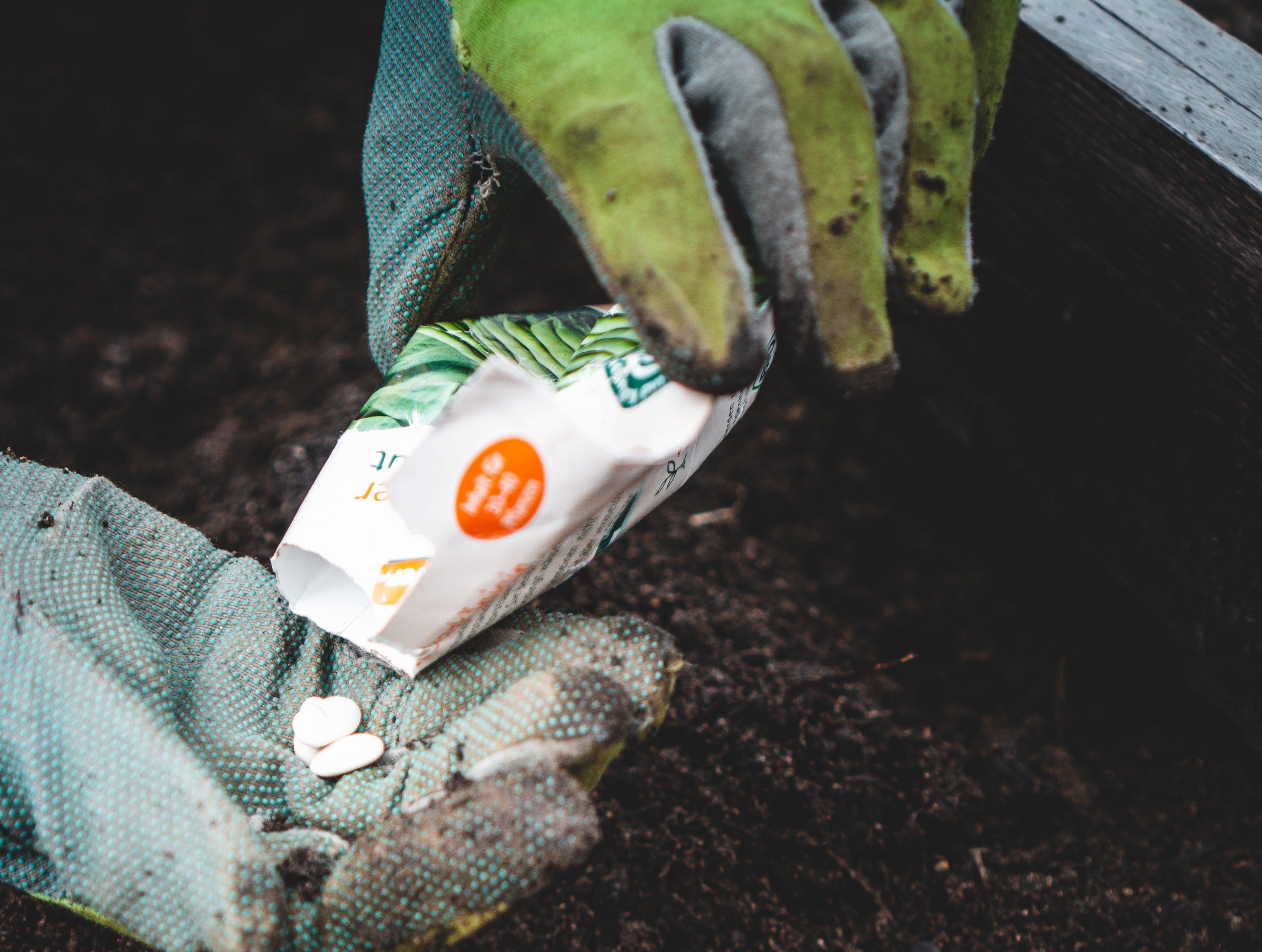 profesional manipulando plantas